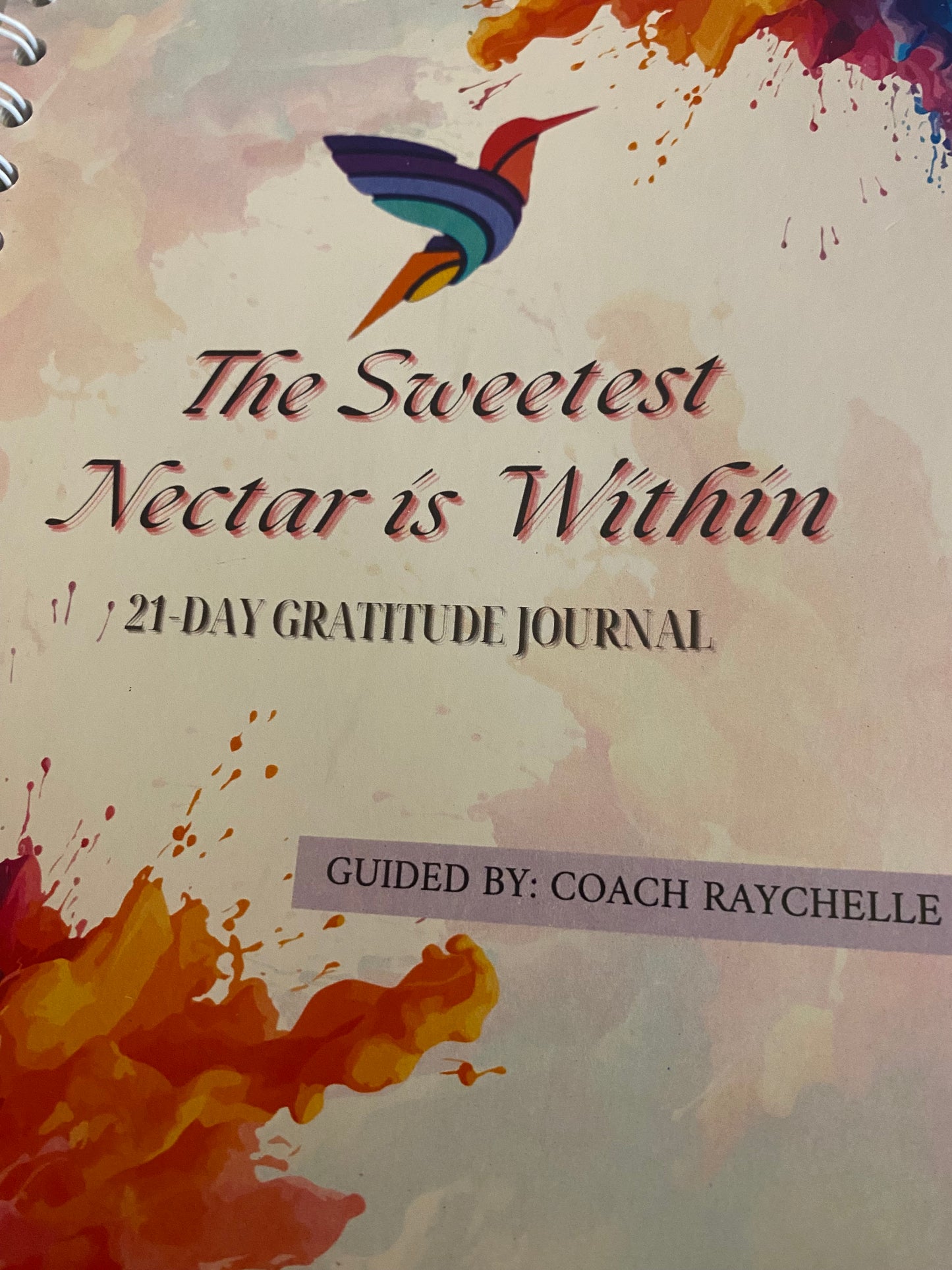 21 Day Gratitude Journal